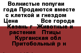 Волнистые попугаи, 2 года.Продаются вместе с клеткой и гнездом. › Цена ­ 2 800 - Все города, Казань г. Животные и растения » Птицы   . Курганская обл.,Притобольный р-н